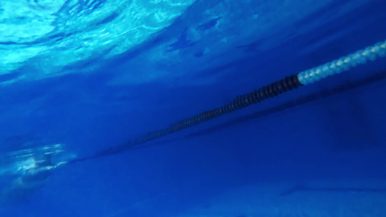 물 에서 헤엄치는 여자