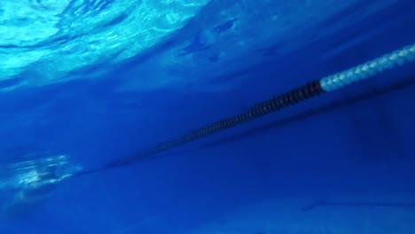 woman swimming underwater