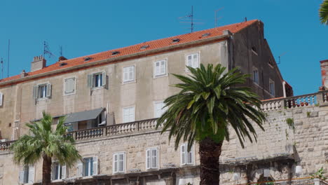 Altstadt-In-Split-Mit-Blick-Auf-Das-Alte-Gebäude-Mit-Palmen-Im-Vordergrund