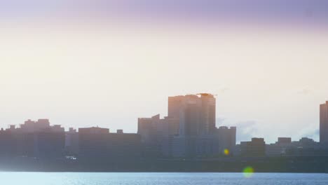 Gull-Flying-Over-Seoul-Skyline