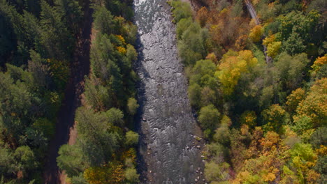 Aerial-view-looking-down-of-small-creek-with-sunlight-reflecting-and-trees-in-autumn-colors-along-the-sides