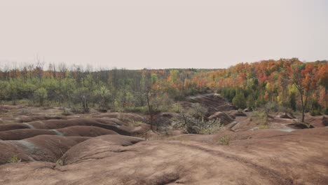 Rote-Erdlandschaft-Mit-Buntem-Herbstbaumwald-Unter-Strahlend-Klarem-Himmel-In-Cheltenham-Badlands-In-Caledon,-Ontario-Kanada