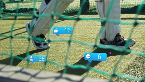 cricketers practicing on field with social media notification animations over scene