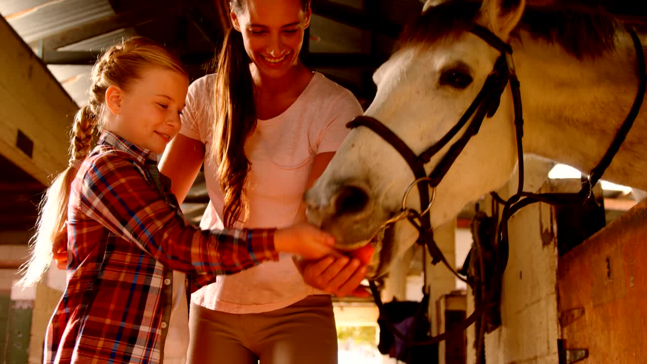 мать и дочь кормят лошадь 4к