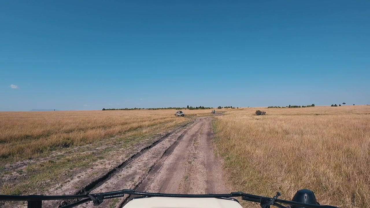 Una prospettiva da telecamera indossabile che mostra un viaggio safari naturalistico nella Riserva Nazionale Masai Mara