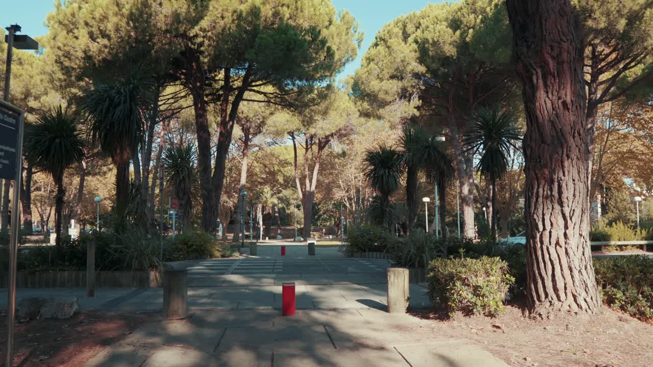 공원에 가서 차가 지나가도록 해라