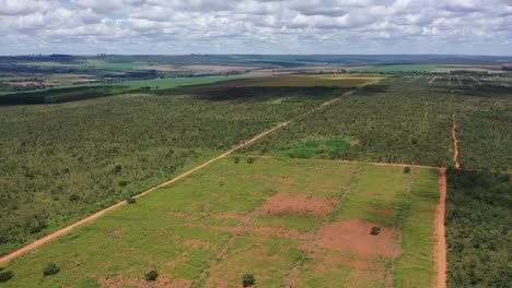 An-aerial-view-of-the-Brazilian-cerrado-or-savannah-with-sections-of-land-deforested-for-soybean-farming