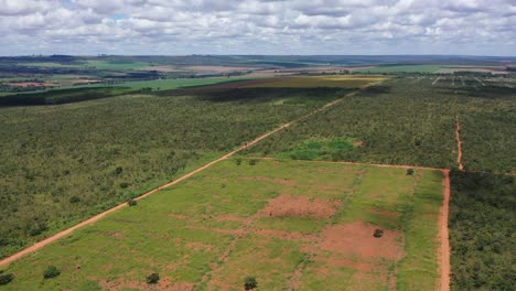 una vista aérea del cerrado brasileño o sabana con secciones de tierra deforestada para el cultivo de soja