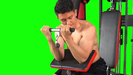 hombre haciendo ejercicios con pesas pesadas para los bíceps