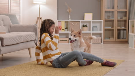 school girl playing with corgi