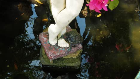 A-lone-turtle-standing-at-the-feet-of-a-statue