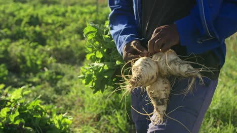 young man working on farm