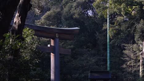 Deslizador-Lateral-Sobre-La-Hermosa-Puerta-Torii-En-El-Santuario-Meiji---Toma-De-Detalle