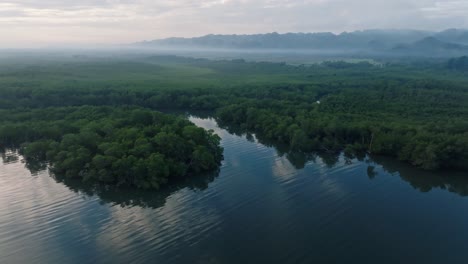 Drohnenansicht-Des-Großen-Sees-Im-Nationalpark-Los-Haitises,-Dominikanische-Republik