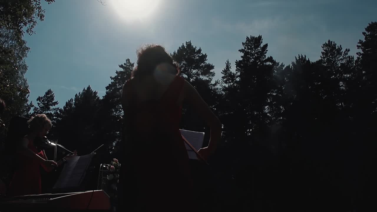 바이올린을 연주하는 예쁜 젊은 소녀 바이올리니스트