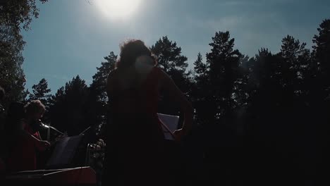 young pretty girl violinist playing the violin
