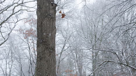 handheld panning shot of thick snow falling in a winter forest