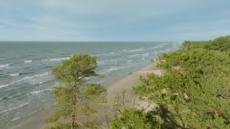 aerial establishing view of baltic sea coast, sunny day, white sand seashore dunes damaged by waves, pine tree forest, coastal erosion, climate changes, wide angle drone shot moving forward