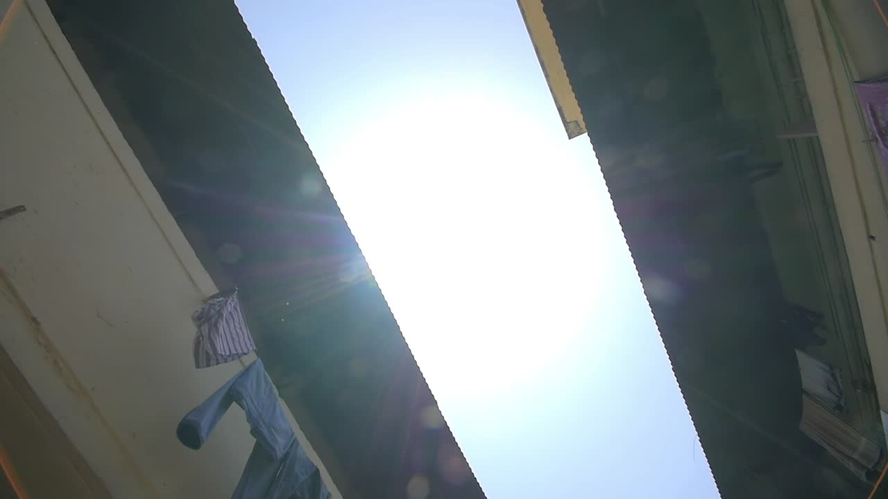 орел летит над узкой улицей