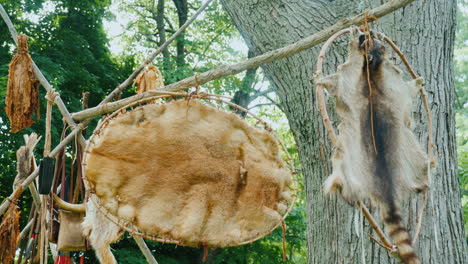 Häute-Trophäen-In-Einem-Jagdlager-Getrocknet-Auf-Rahmen-Gespannt