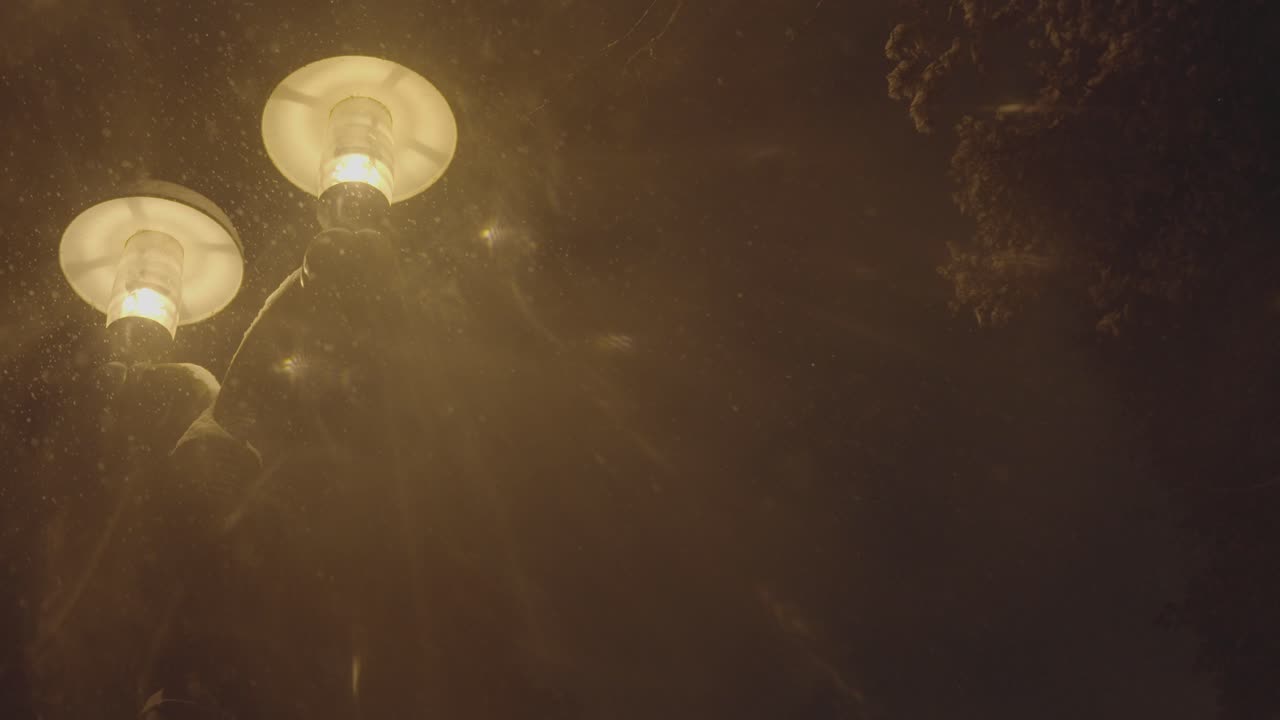 겨울 눈 동안 공원을 비추는 따뜻한 노란색 전등의 낮은 각도 근접 촬영