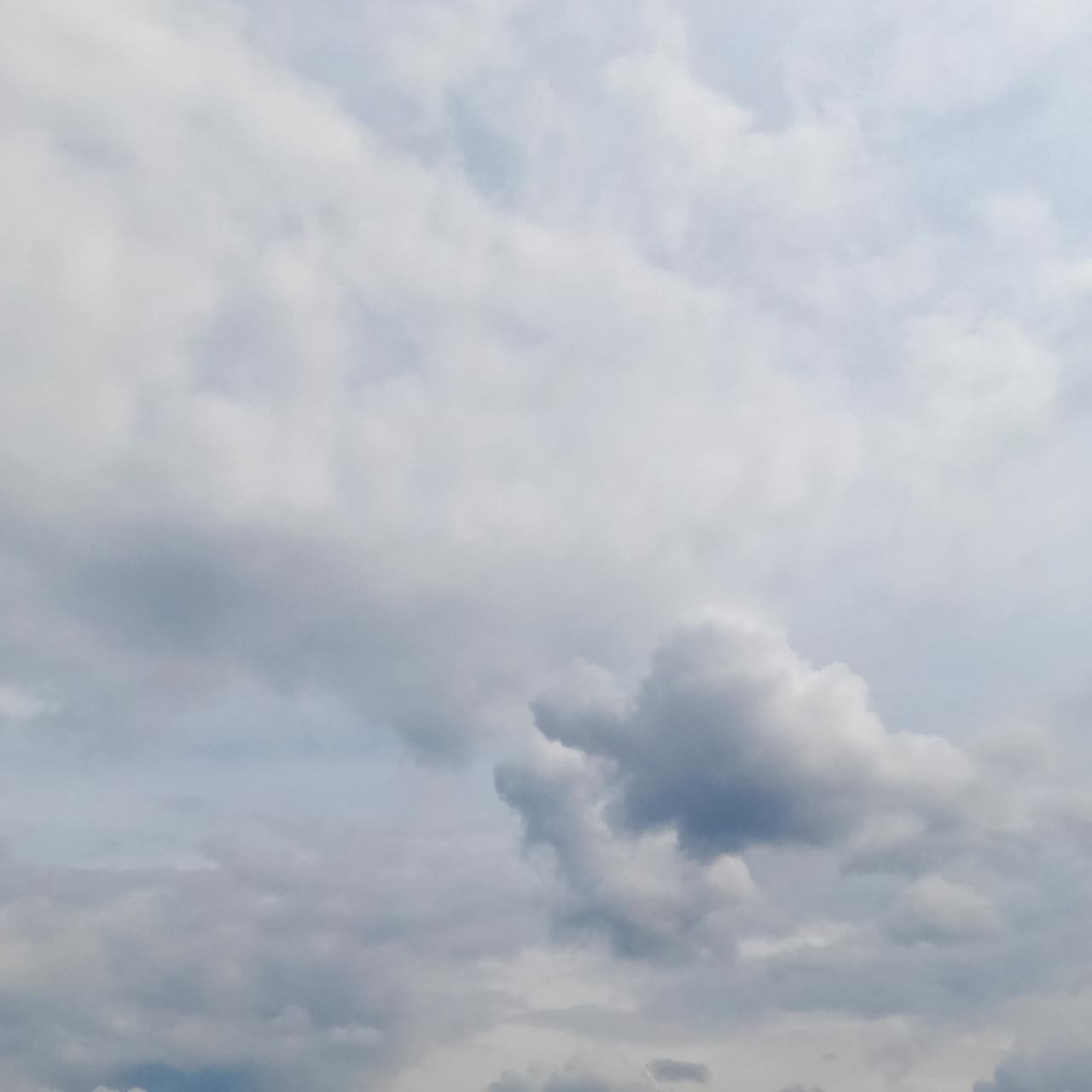 Clouds covering the sky at daytime. Grey cloudscape in the atmosphere from low angle view. Timelapse