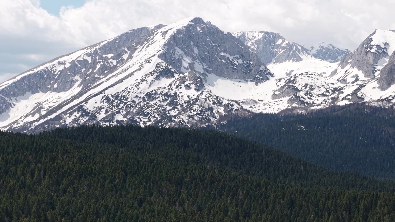 Vista aerea di cime montuose innevate e una verde foresta di conifere. Parco Nazionale del Durmitor, Montenegro. Ripresa con drone.