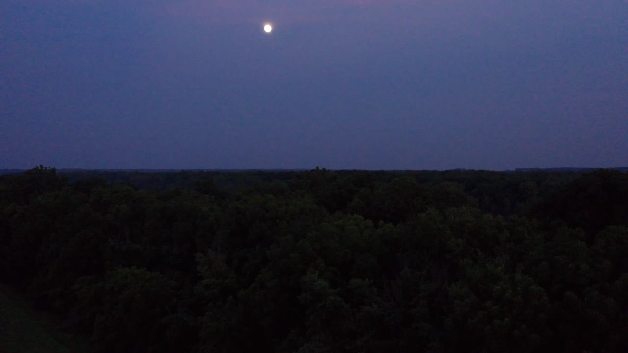 Alberi in silhouette si stagliano sotto una luna piena luminosa nel cielo notturno, ripresa aerea con drone.