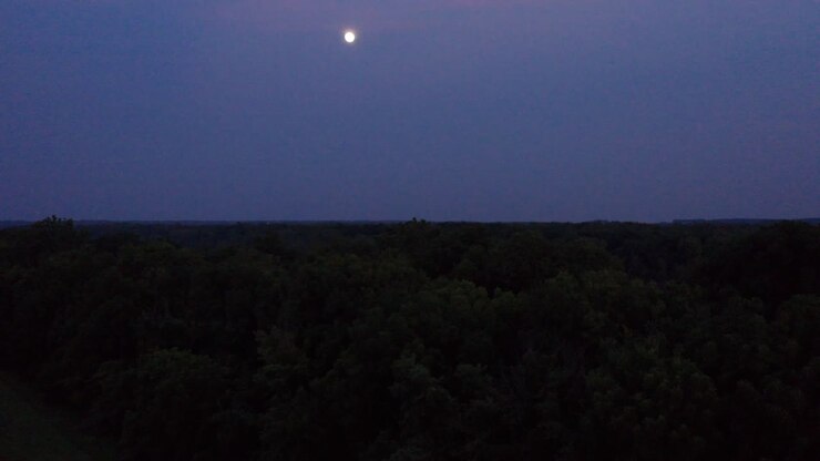Alberi in silhouette si stagliano sotto una luna piena luminosa nel cielo notturno, ripresa aerea con drone.