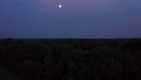 silhouetted trees sit beneath bright full moon in the night sky, drone aerial