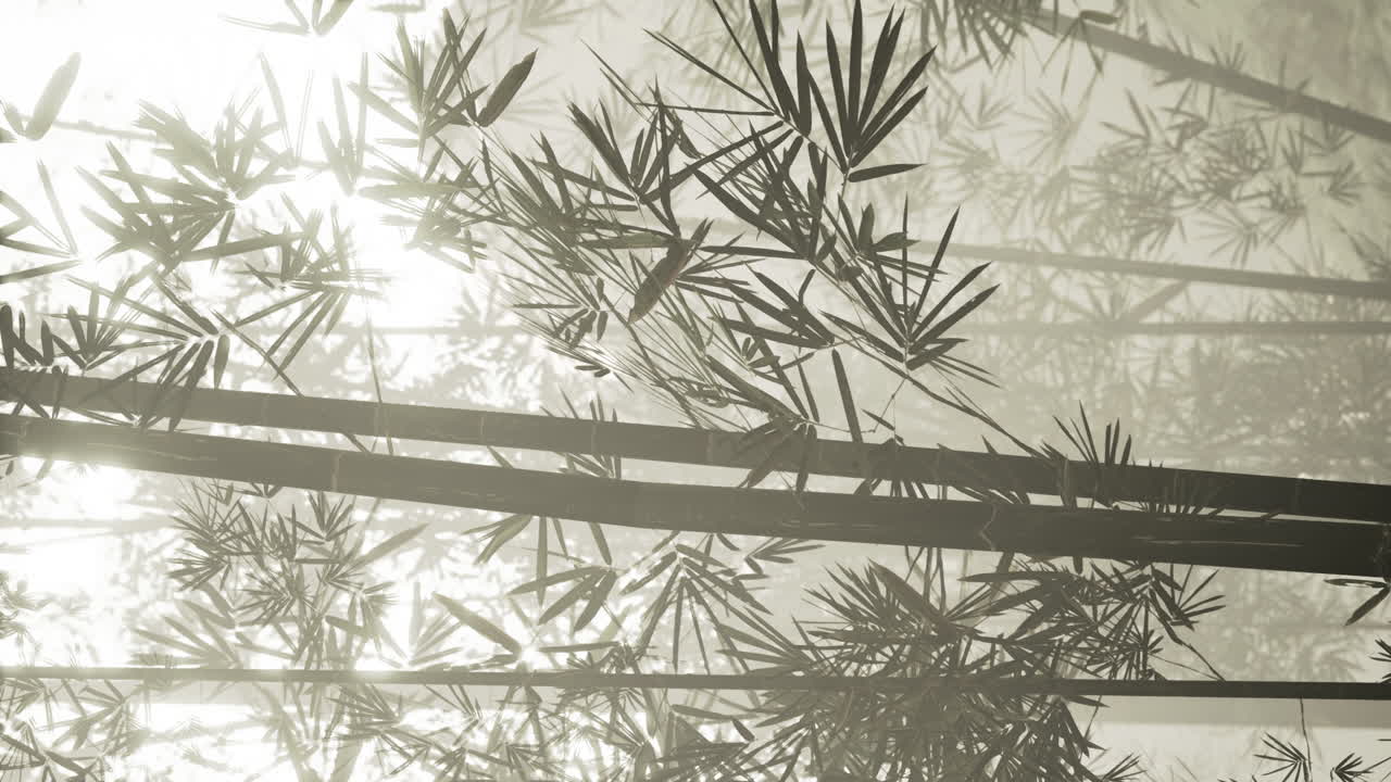 video vertical del bosque de bambú verde en maui