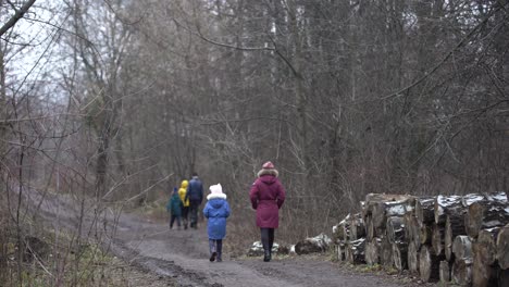 Menschen-Gehen-Im-Januar-Durch-Den-Düsteren-Park