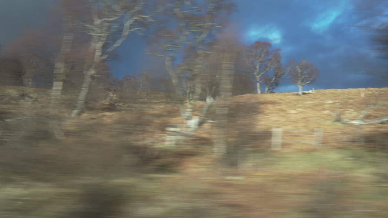 Static shot from vehicle with trees passing by with wonderful dramatic sunset light and nice clouds in Scotland