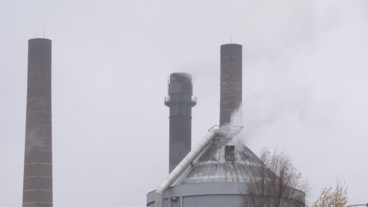 chimeneas de molinos de papel envueltas en humo blanco que se eleva desde el proceso de transformación de celulosa - tiro medio