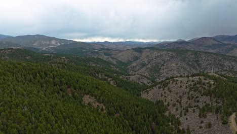 Stormy-weather-on-horizon-away-from-dense-evergreen-forest-tree-stand-by-dirt-road-in-Colorado