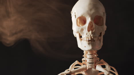 video de primer plano del esqueleto de halloween y el espacio de copia sobre fondo negro