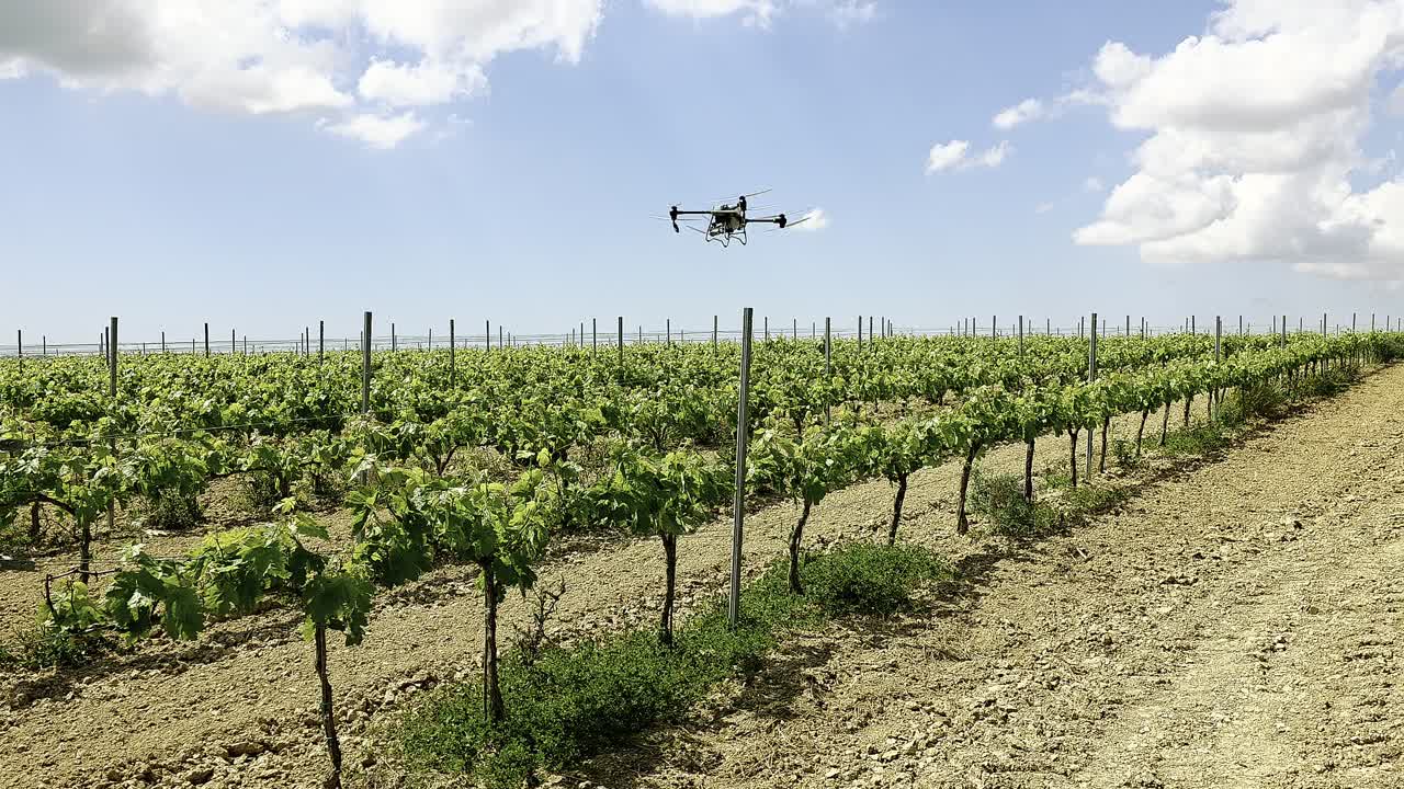 The Agras T50 flies smoothly over vineyard rows, spraying with precision in golden sunlight. Drone farming at its finest.