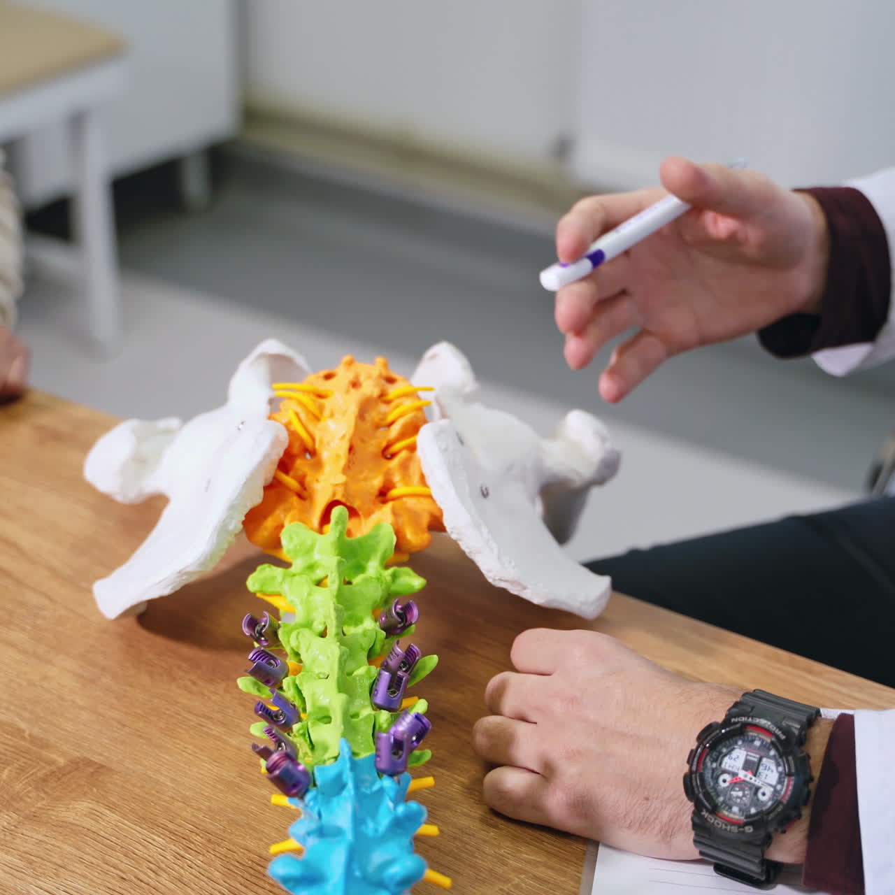 Plastic model of a spine. Physiotherapist explaining the work of bones on a colorful spine model to patient in clinic. Close-up.