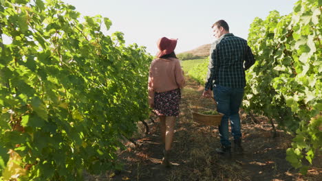 Couple-with-glasses-of-wine-and-a-basket-with-grapes