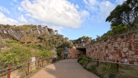 pathway leading to scenic lookout point