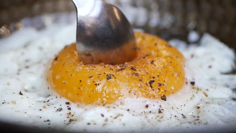 close-up of a fried egg with pepper and salt