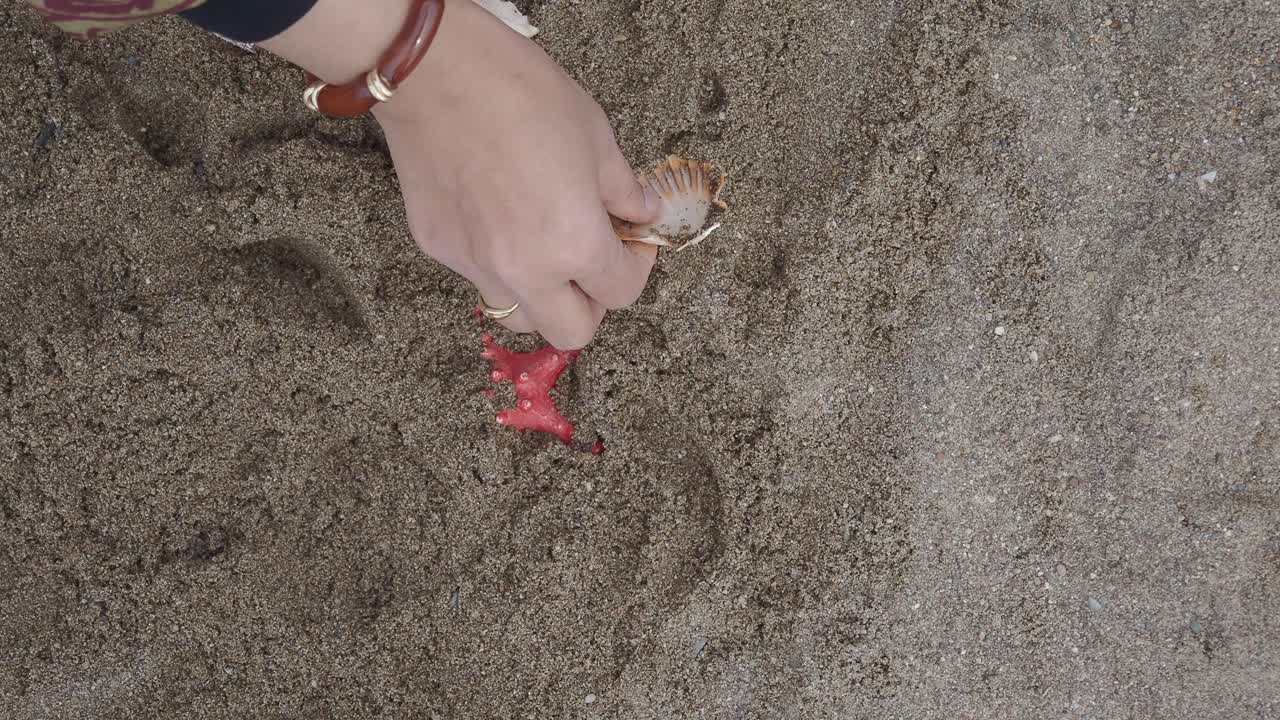 Close-up of Hand Picking Up Seashells and Starfish from Sand