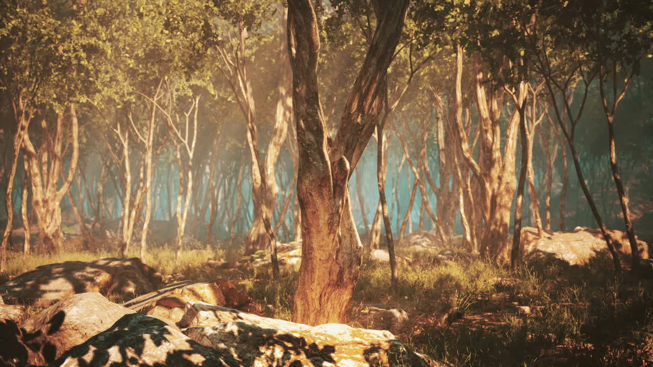 어 ⁇  속의 깊은 열대 정글