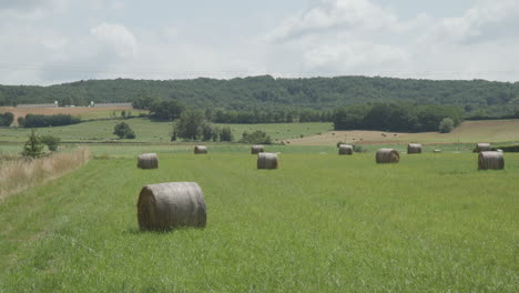 un campo de balas de heno redondas recién empacadas en una granja en el sur de francia