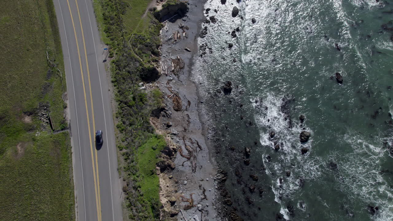 Top View Of Basking Elephant Seals Off Highway 1 In California, West Coast, USA. Aerial Drone Shot