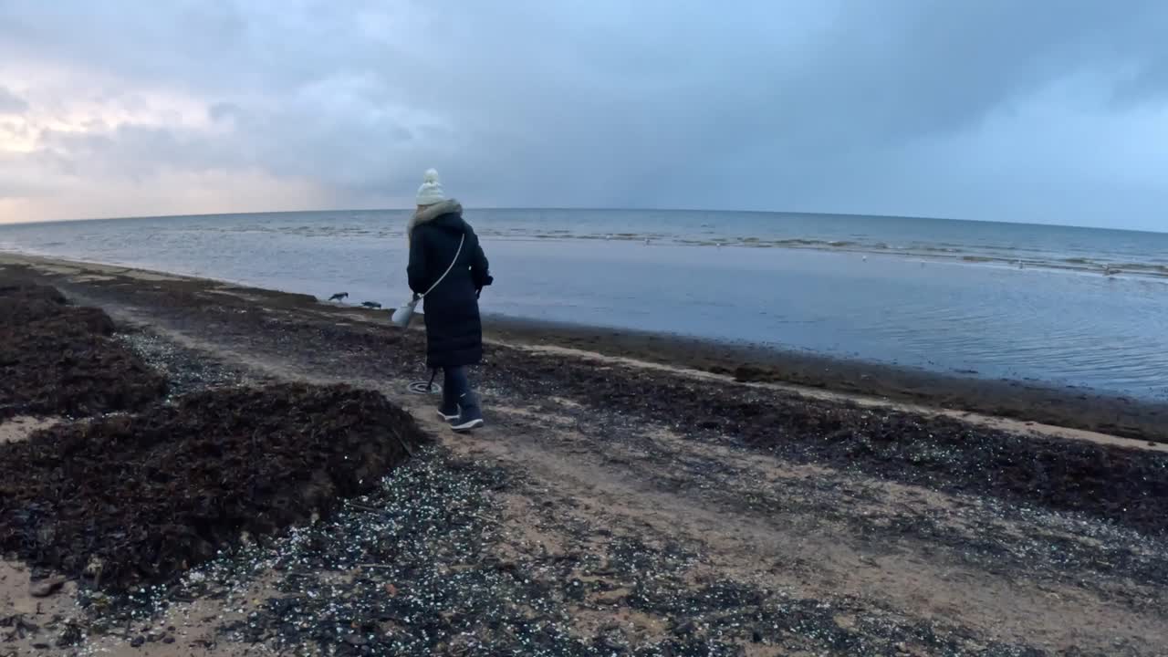 Una persona con abbigliamento invernale cammina lungo una costa fredda, scrutando la spiaggia con un metal detector accanto a rive di alghe scure e calme acque grigie