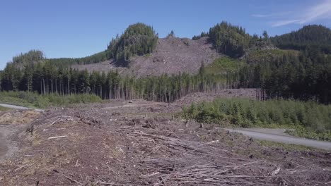 Tiefflug-über-Holzfällerlandschaft,-Mit-Weißem-LKW