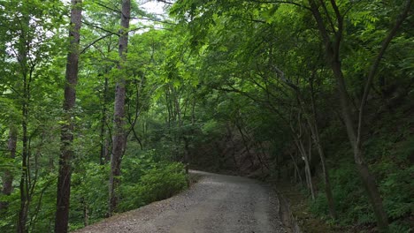 dynamic aerial view swiftly flying above a winding gravel road through dense green forest at maninsan ecological park