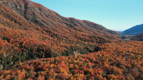 aerial establishing shot of radal 7 tazas national park of chile in autumn season