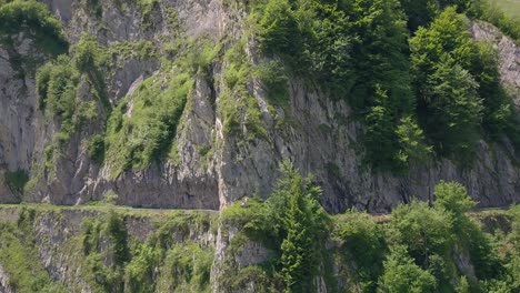 在法國的皮雷尼山脈山脈的另一邊, 四名單車遊客在單車遊覽中投<unk>和出口.